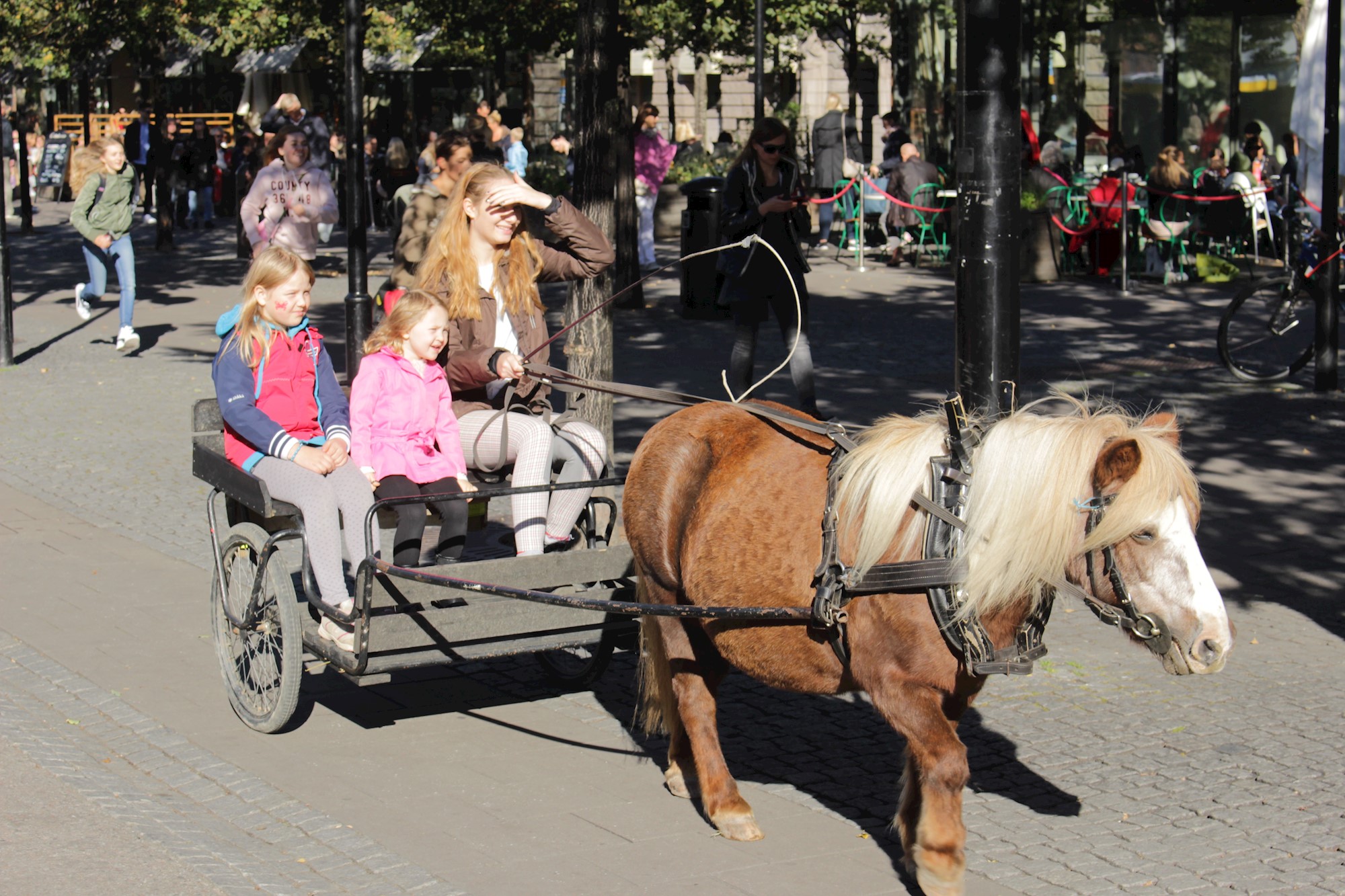 På Franciskusdagen bjuds alla barn på gratis ponnyridning och mycket annat.