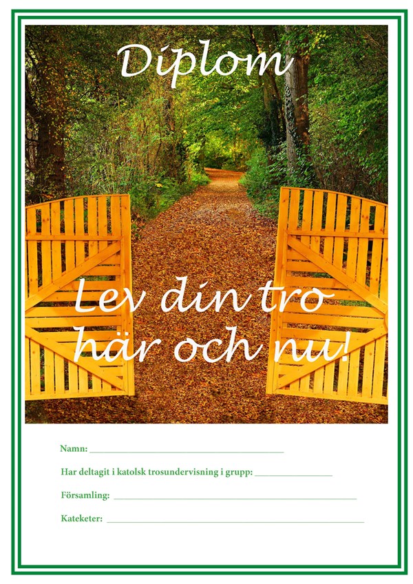 7. Diplom bok 7
