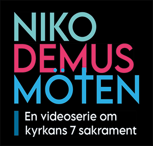 2 minuters trailer om videoserien: